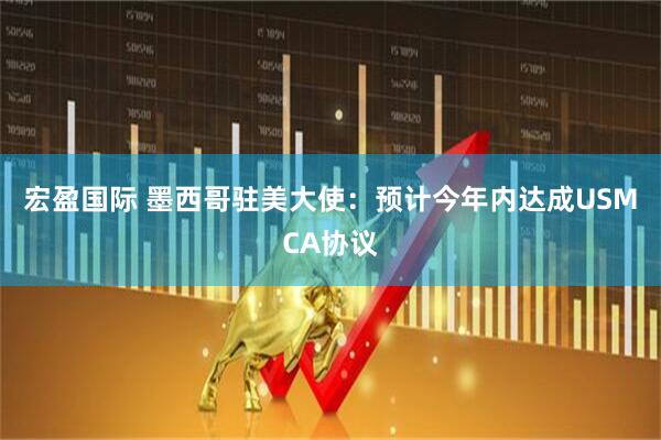 宏盈国际 墨西哥驻美大使：预计今年内达成USMCA协议